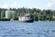 2012 kesaregatta-3
