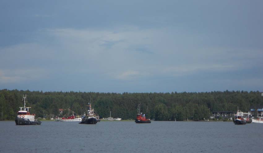 2015 kesaregatta-5