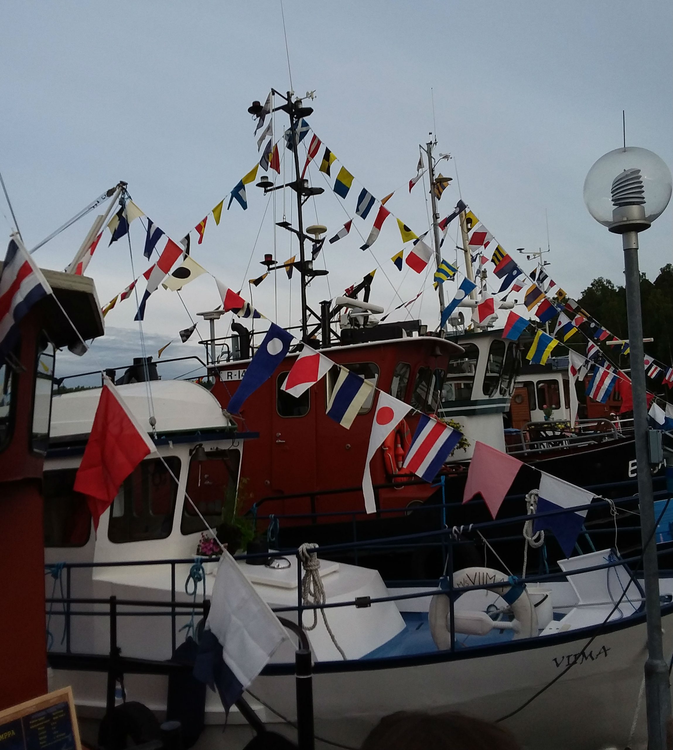 2017 kesaregatta-4