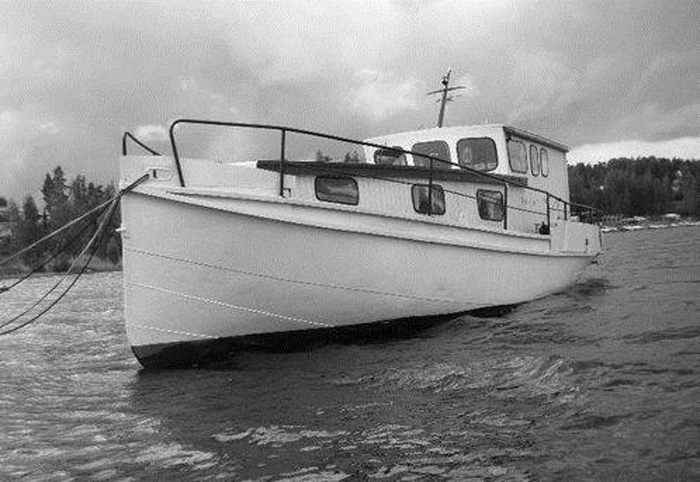m/s Dolly