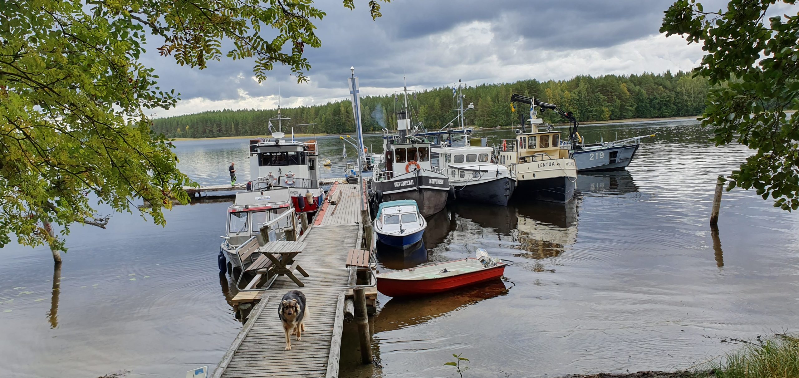 Laituritalkoot 2019-3