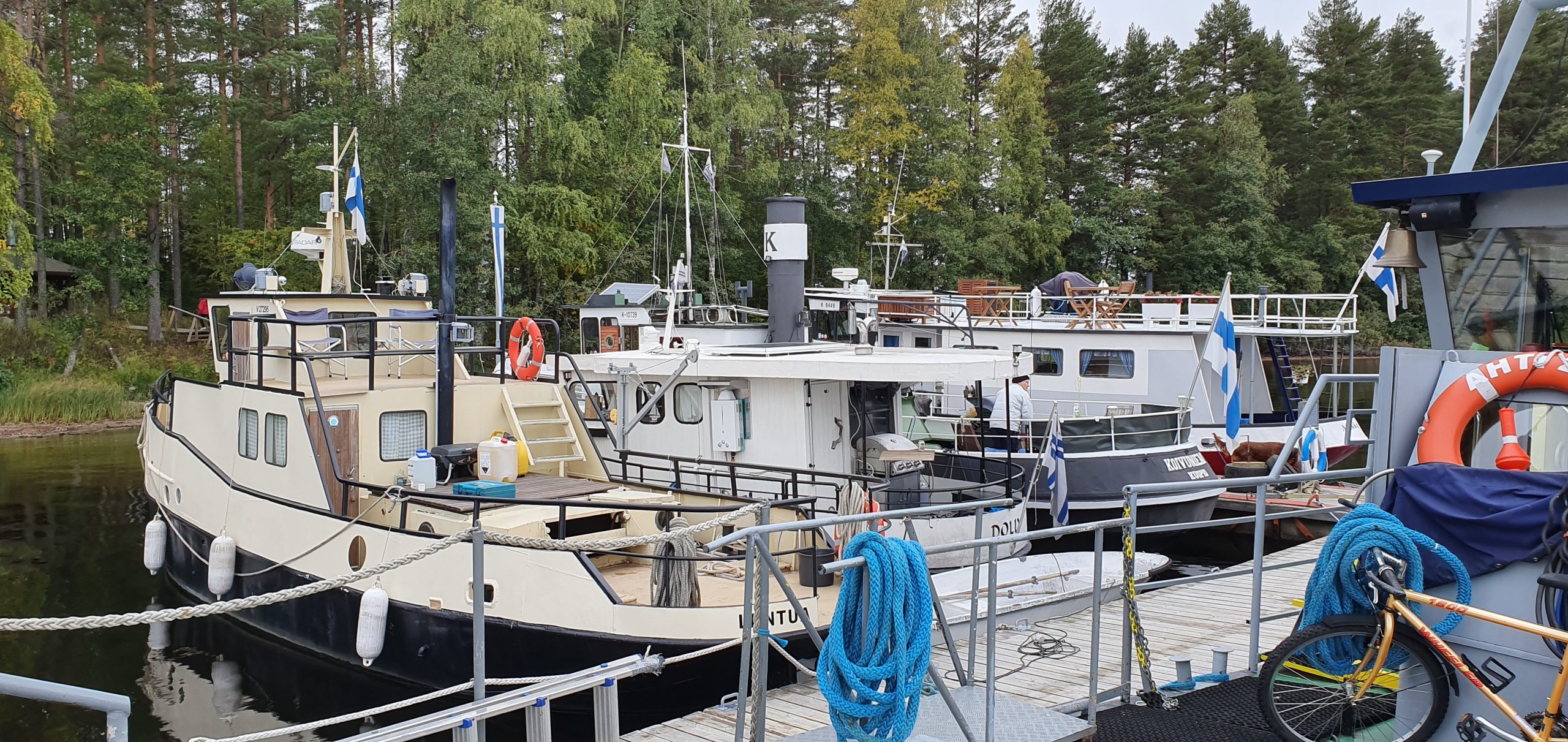 Laituritalkoot 2019-5