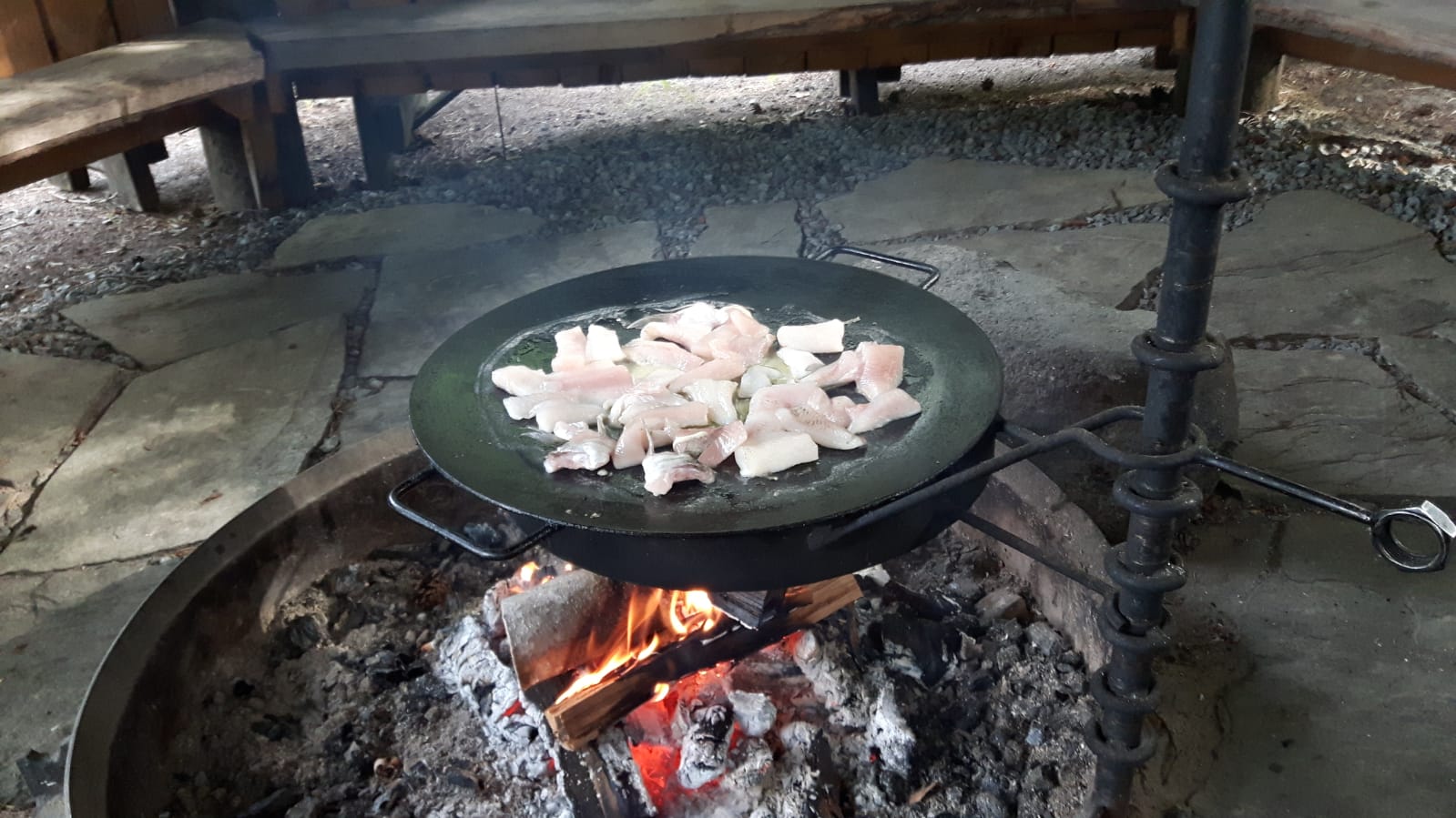 Ahvensalo-grilli