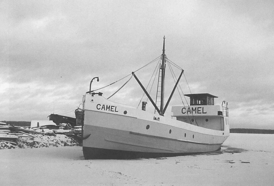 s/s Camel